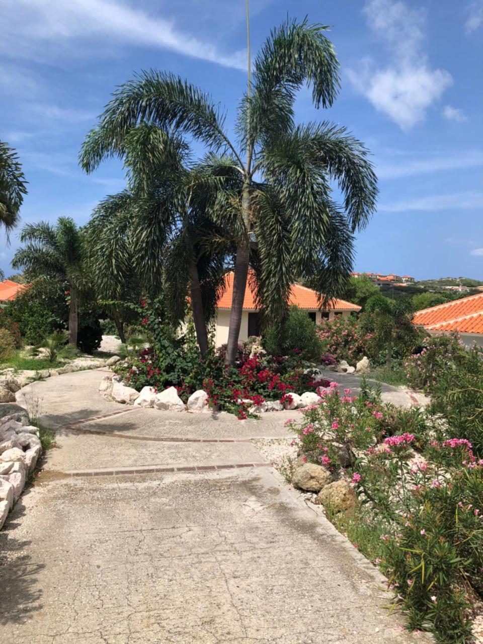 Blue Bay Beach Villa 25 3-Min Beach-Pool-Golf المظهر الخارجي الصورة